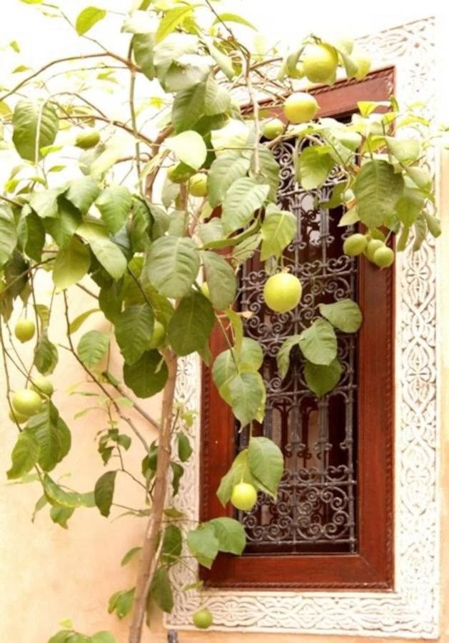 Riad Dar Rania Marrakech Medina Jemaa El Fna Marrakesh Bagian luar foto